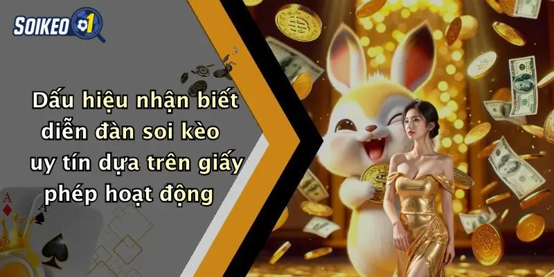 Dấu hiệu nhận biết diễn đàn soi kèo uy tín dựa trên giấy phép hoạt động