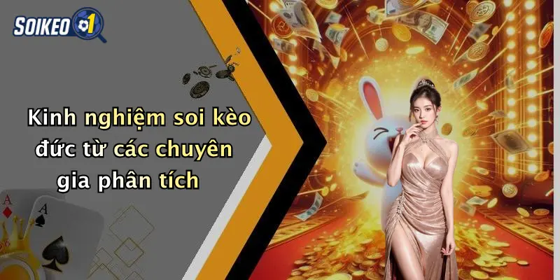 Kinh nghiệm soi kèo đức từ các chuyên gia phân tích