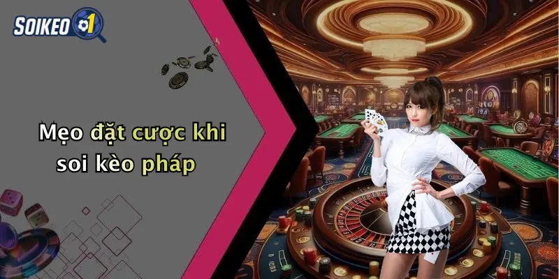 Mẹo đặt cược khi soi kèo pháp
