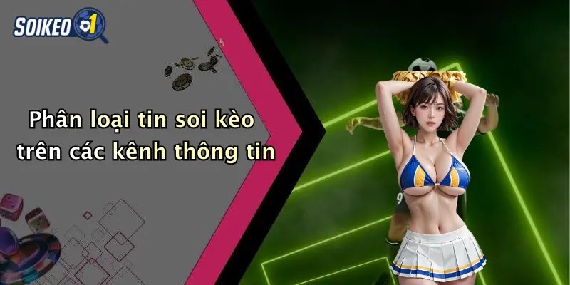 Phân loại tin soi kèo trên các kênh thông tin