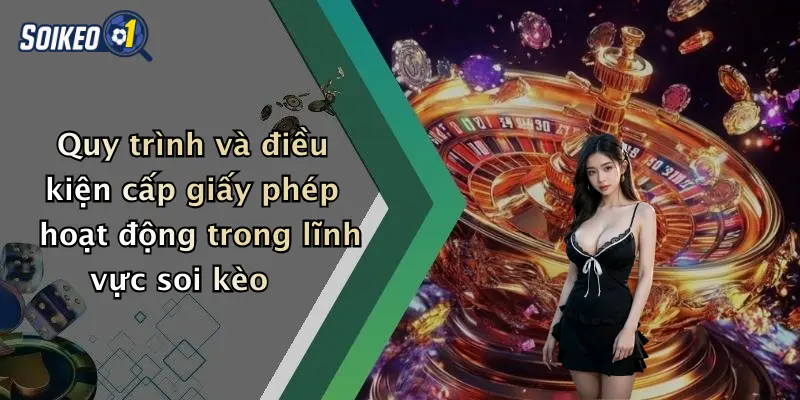 Quy trình và điều kiện cấp giấy phép hoạt động trong lĩnh vực soi kèo